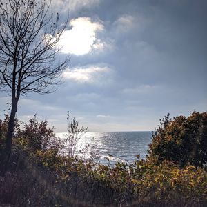 Meet your Posher, Maureen